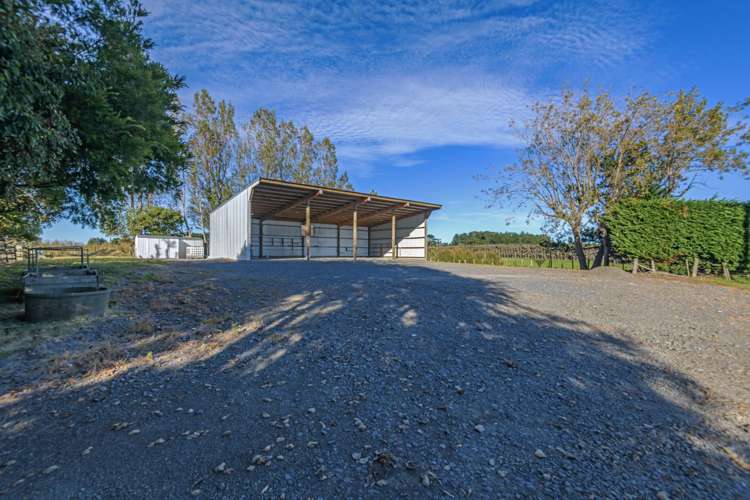 2915 State Highway 1 Sanson_11