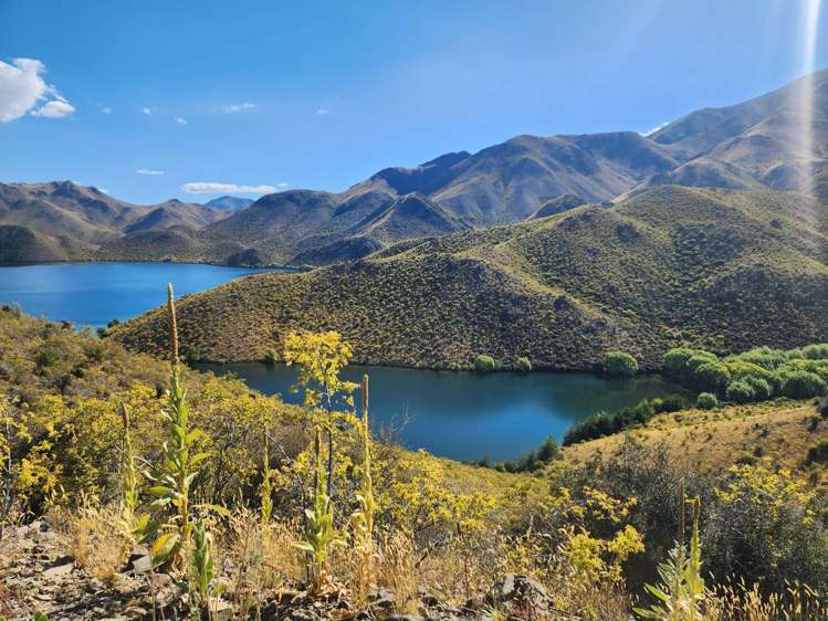 780 Falston Road Twizel_15