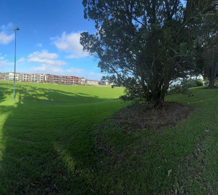 35B Hargest Terrace Mt Albert_19