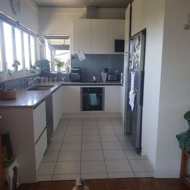 20 Powell Street Avondale_4