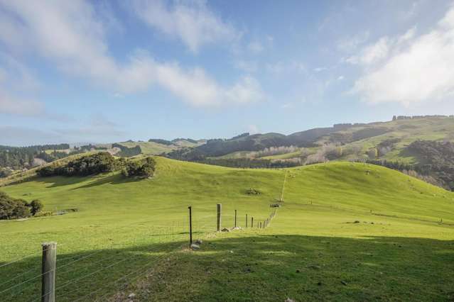 782 Glendhu Road Greta Valley_4