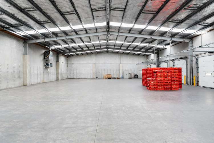 7 Otaki Street South Dunedin_11