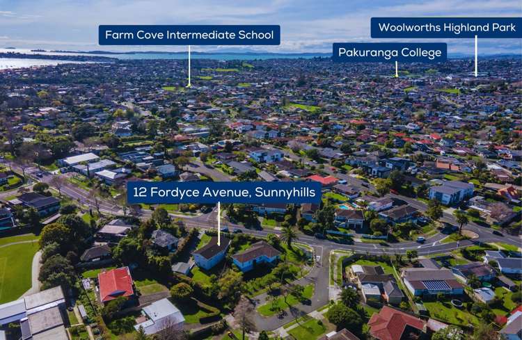 12 Fordyce Avenue Sunnyhills_30