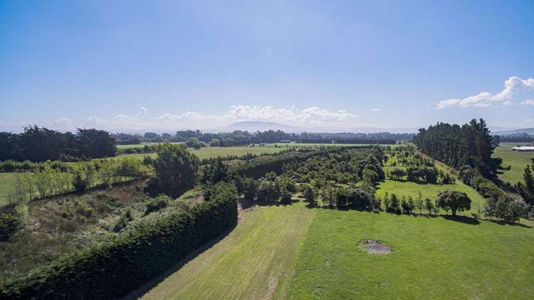 205 Hursley Terrace Road Amberley_20