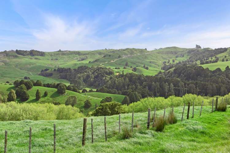 895 Wairamarama Onewhero Road Onewhero_17