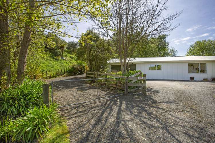 712 Ohautira Road Raglan_20