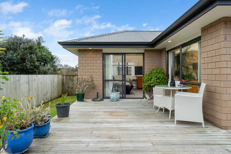 8c Church Street Katikati_10