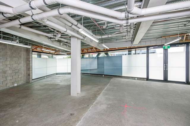 Unit 106/1 Enfield Street Mt Eden_3