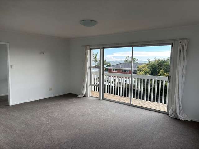 115 Udys Road Pakuranga_2