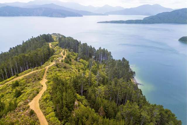 1.57ha Arapawa Island Section + Mooring + Boatshed