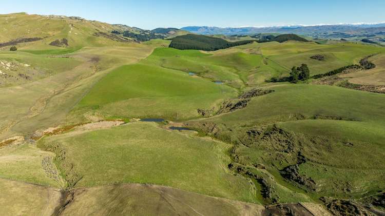 324 Reeces Road Omihi_9