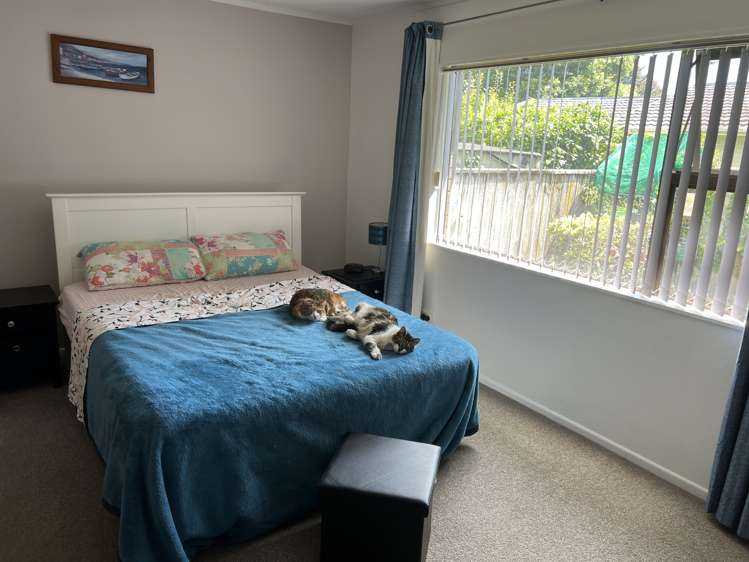 6 Churchill Street Kensington_5