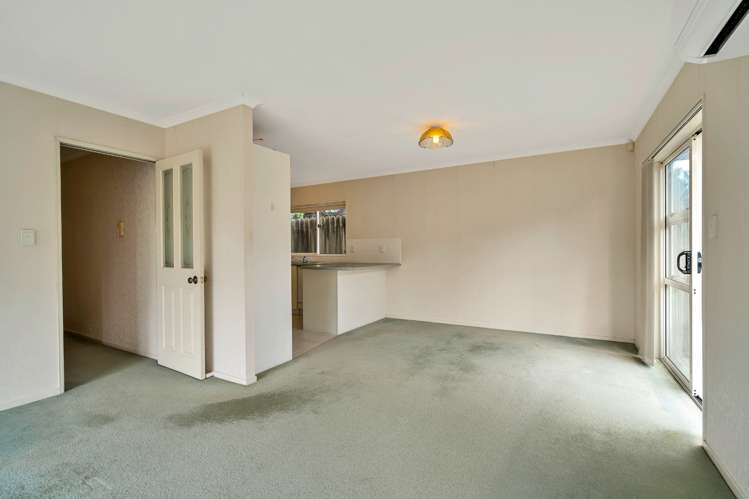 29a Riversdale Road Avondale_6