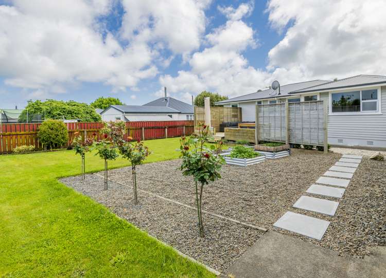 5 Duke Street Levin_16