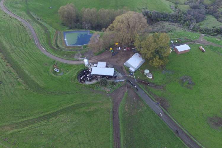 553 Buckland Road Matamata_11