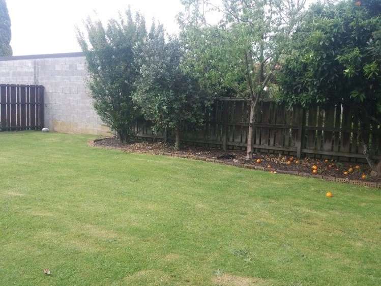 25 Kauri Crescent Matamata_21