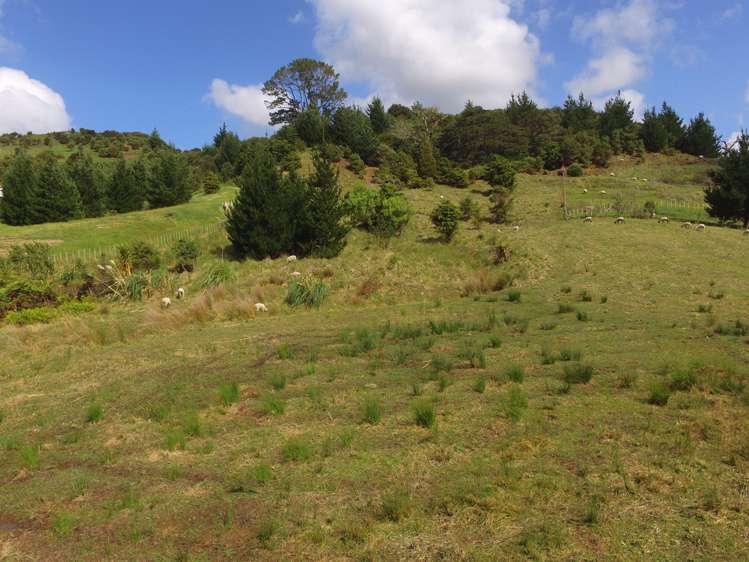 322 Ahuroa Valley Road Makarau_10