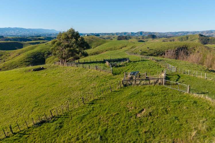 Ridge Road North Pahiatua_5