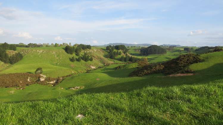 356 Whatauri Road Wharepapa South_18