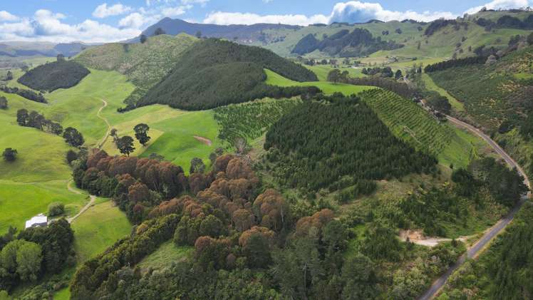 Lot 2 Te Kopia Road Waikite Valley_11