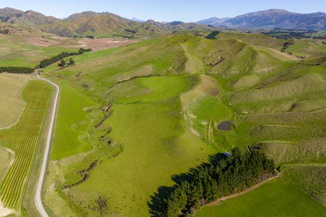 83 Richmond Brook Road Seddon_2