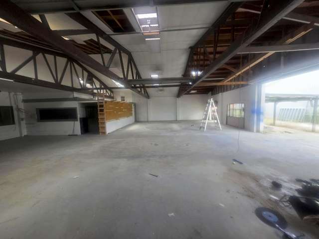 9 Parkinson Street Awapuni_3