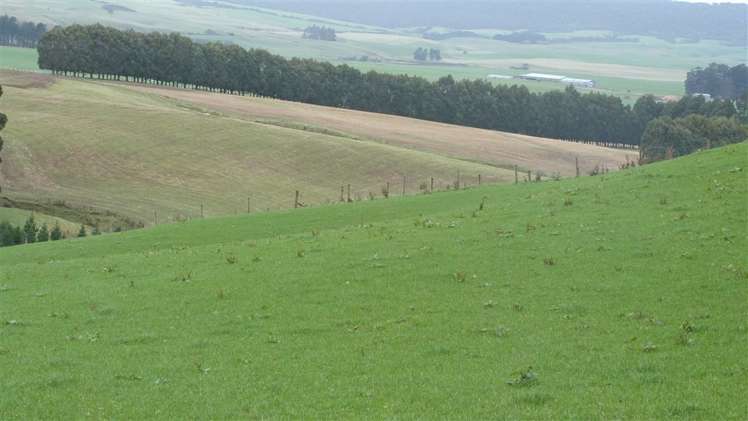 44 Rodgers Road Catlins Surrounds_9