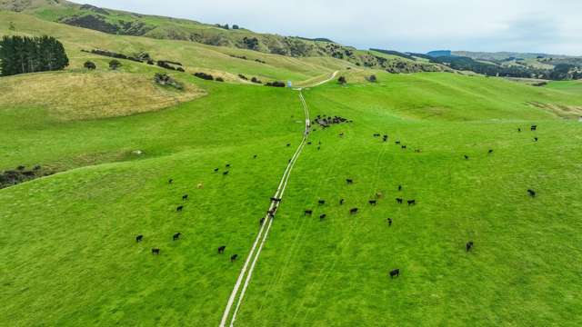 48 Heathfield Road Greta Valley_2