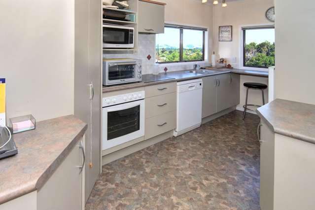 29 Puriri Crescent Lansdowne_4
