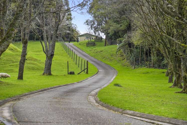 387 Tauranga Direct Road Hamurana_21