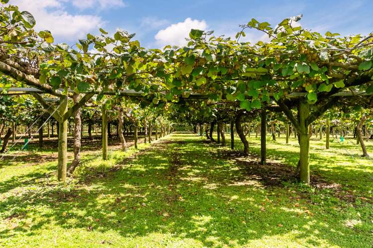 109 Old Railway Road Riverhead_28