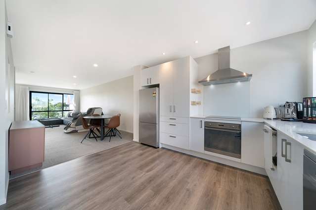 34 Memorial Park Lane Hobsonville_2