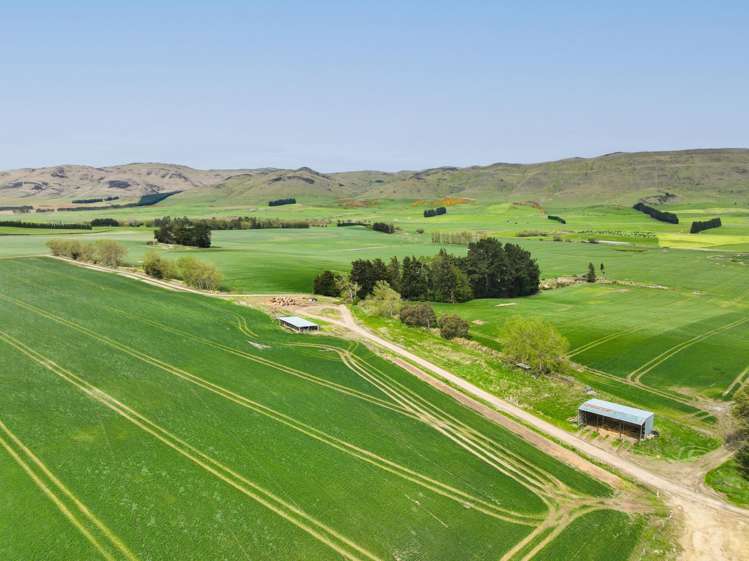 909 Nine Mile Road Riversdale_11