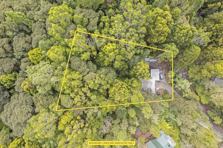 12 Kauri Loop Road Oratia_16