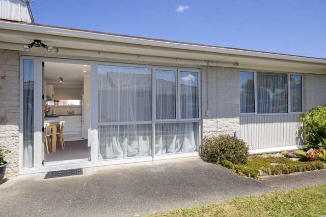 3/54 Seabrook Avenue New Lynn_2