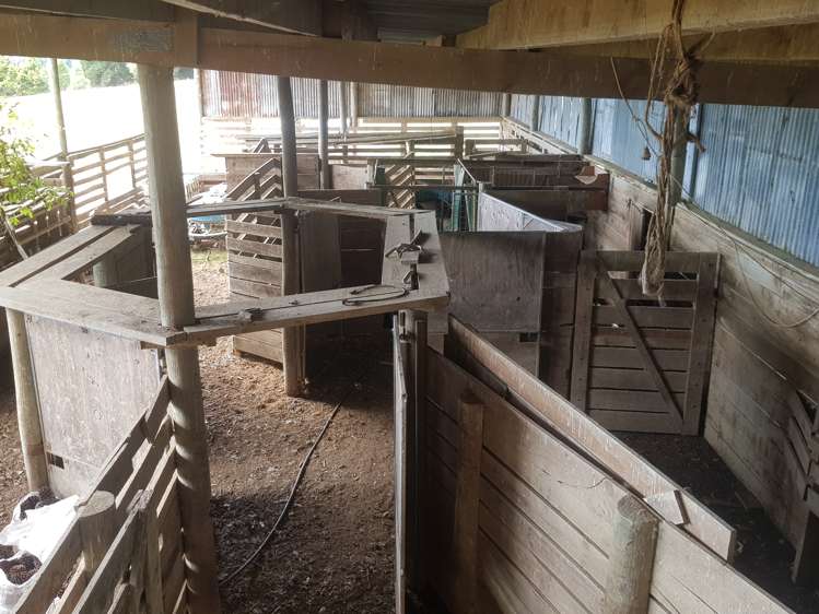 293 Freezing Works Road Balclutha_10