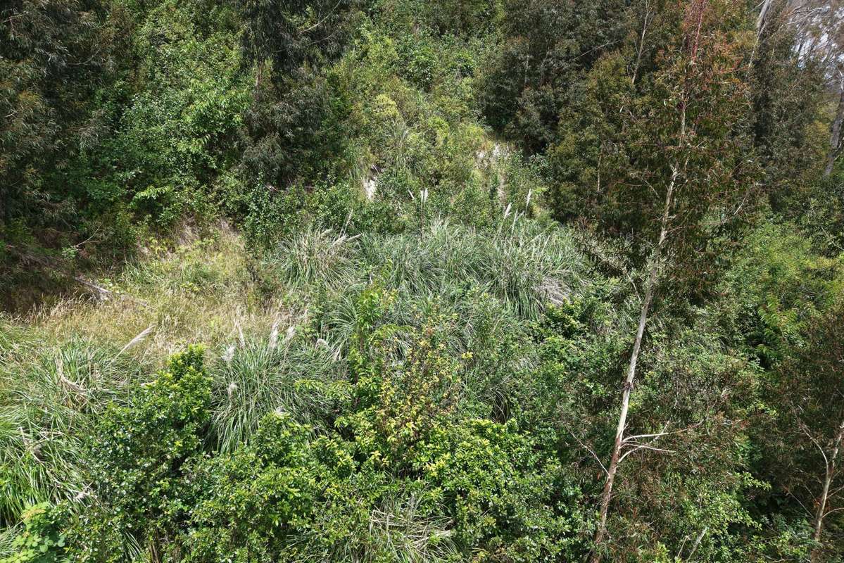 108 Kakariki Grove_2