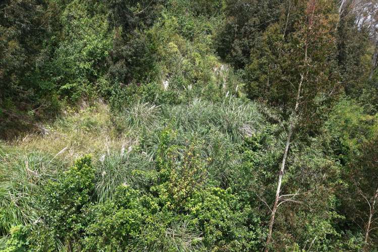 108 Kakariki Grove Waikanae_6