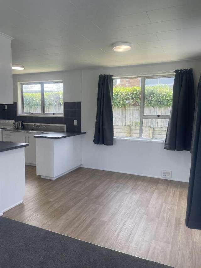 12 London Terrace Putaruru_3