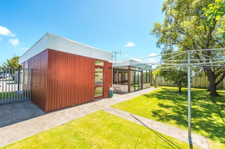 55A Jellicoe Street 1236_15