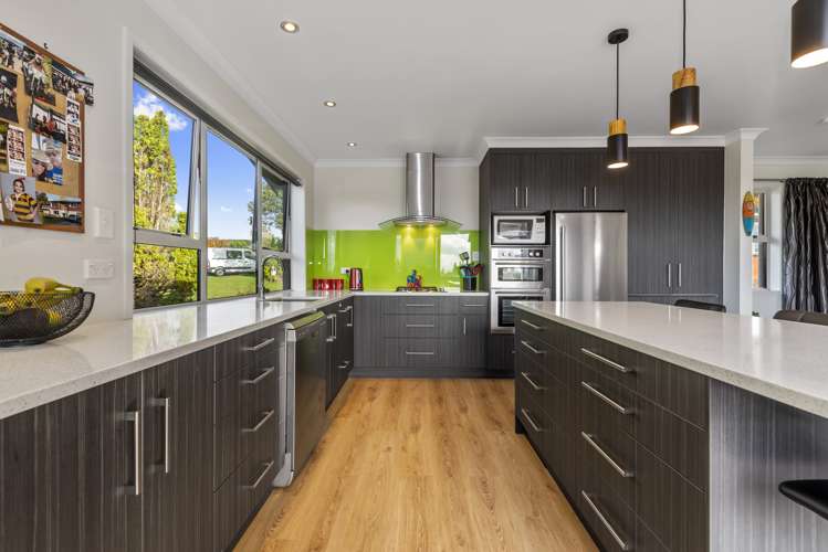 32 Mcdowell Street Springfield_6