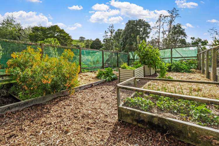 15 Boler Road Tauhoa_18