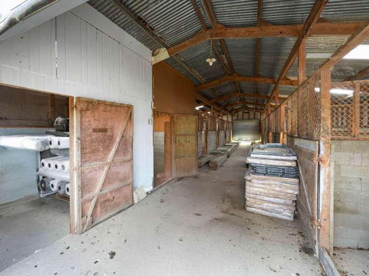 19 Trotting Course Drive Kumeu_14