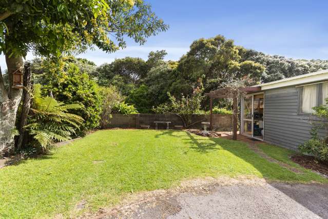 60 Linwood Avenue Mount Albert_2