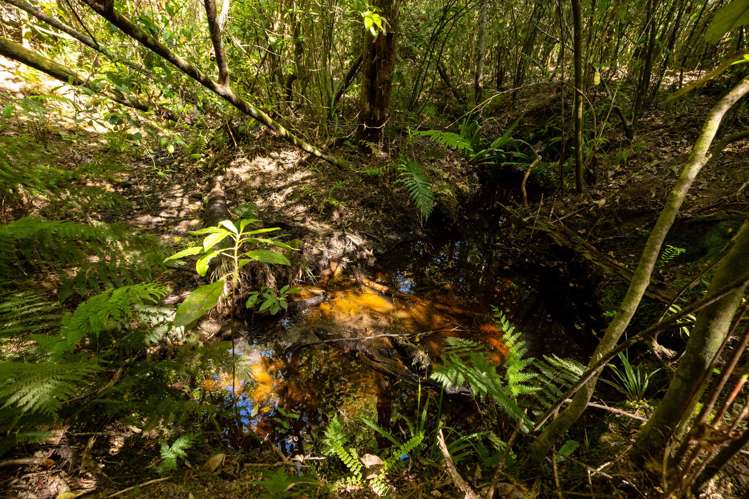 Waiwhero Road Ngatimoti_14