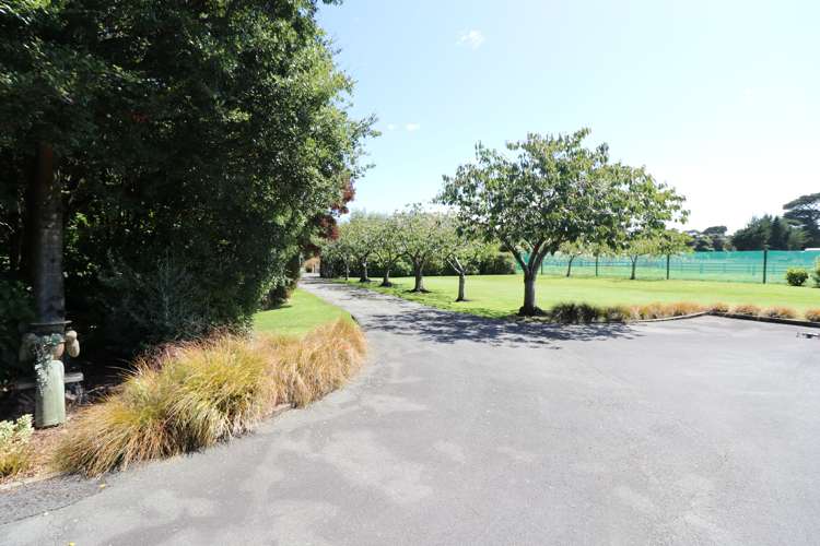 150 Otatara Road New River Ferry_37