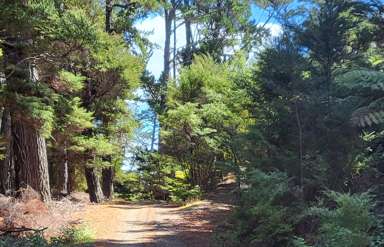 10 Wilson Avenue_2