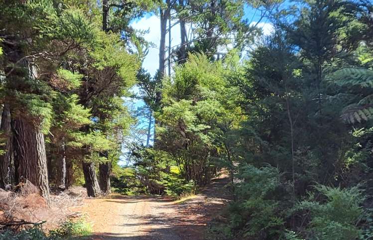 10 Wilson Avenue Kawau Island_2