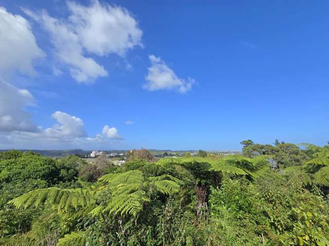 15 Alpine View Hokitika_4