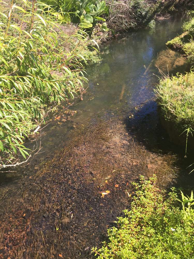 18 Thompson Road Kaitaia_11